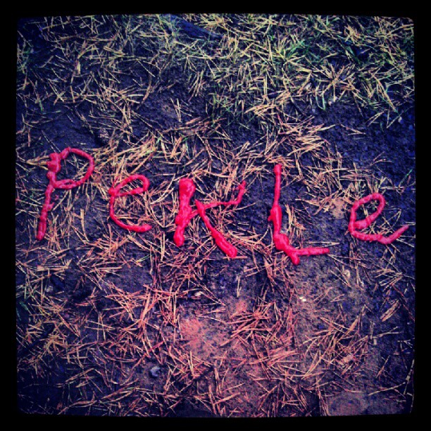 pekle.lv